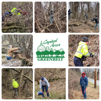 You are currently viewing Volunteers Remove Harmful Invasive Vines from Greenbelt Area