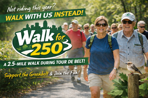 Walk for 250